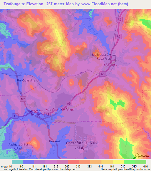 Tzafougaltz,Morocco Elevation Map