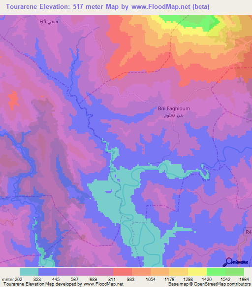 Tourarene,Morocco Elevation Map