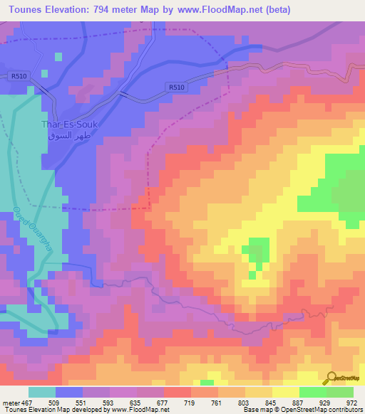 Tounes,Morocco Elevation Map