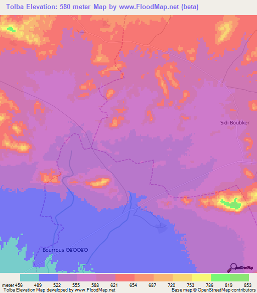 Tolba,Morocco Elevation Map