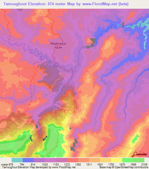 Tamoughout,Morocco Elevation Map