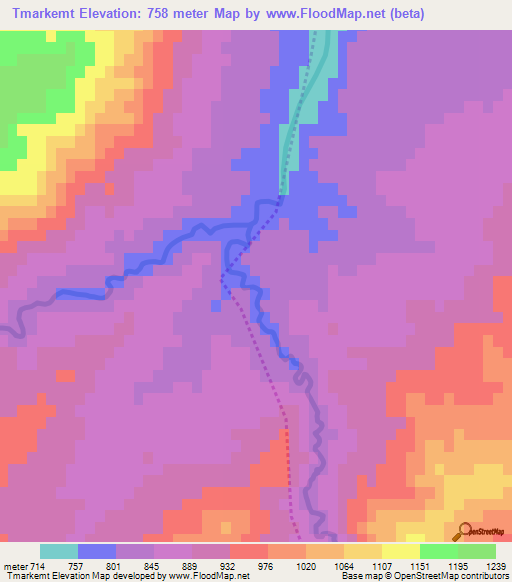 Tmarkemt,Morocco Elevation Map