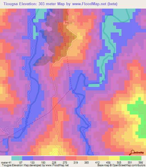 Tiougsa,Morocco Elevation Map