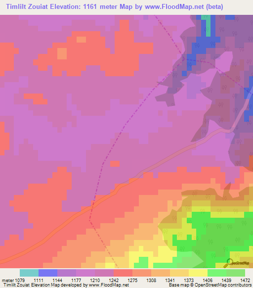 Timlilt Zouiat,Morocco Elevation Map