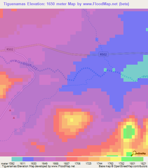 Tiguenamas,Morocco Elevation Map