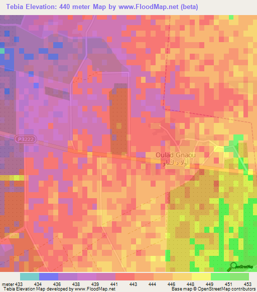 Tebia,Morocco Elevation Map