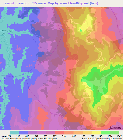 Tazrout,Morocco Elevation Map