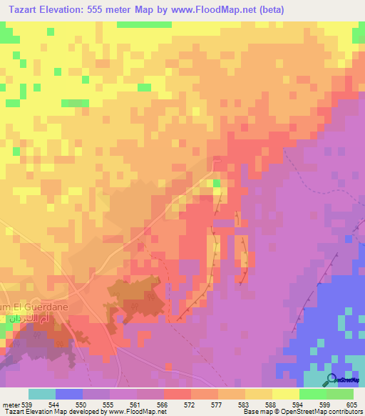 Tazart,Morocco Elevation Map