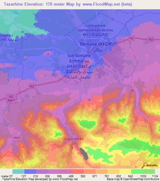 Tazarhine,Morocco Elevation Map