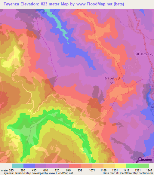 Tayenza,Morocco Elevation Map