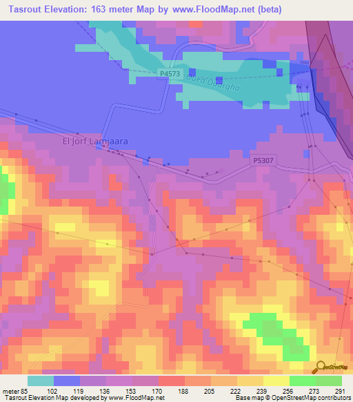 Tasrout,Morocco Elevation Map