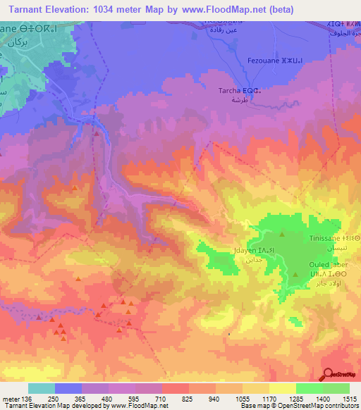 Tarnant,Morocco Elevation Map