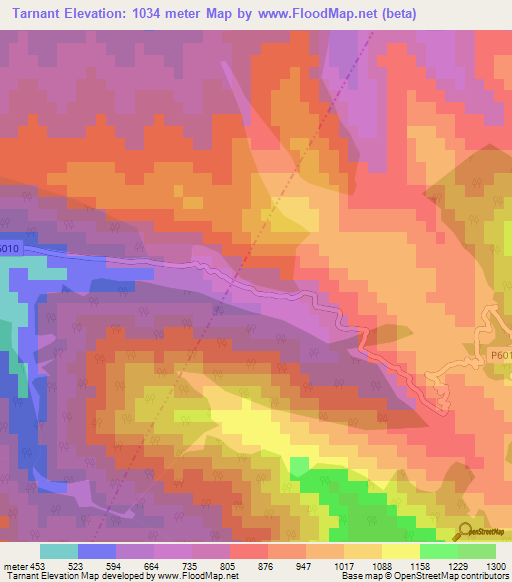 Tarnant,Morocco Elevation Map