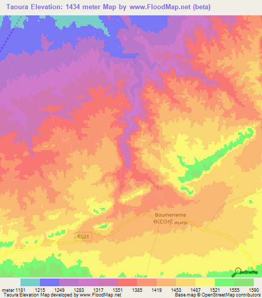 Taoura,Morocco Elevation Map