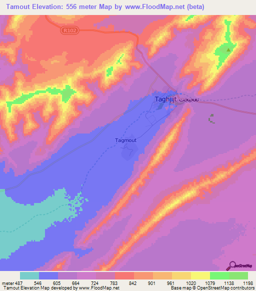 Tamout,Morocco Elevation Map