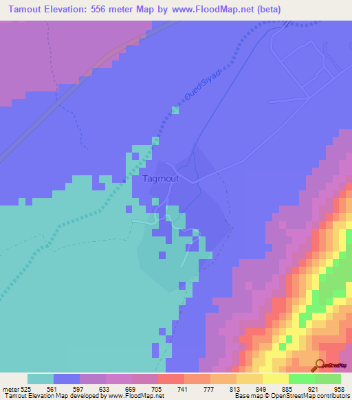 Tamout,Morocco Elevation Map