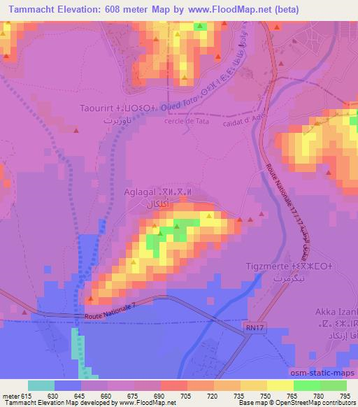 Tammacht,Morocco Elevation Map