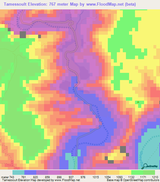 Tamessoult,Morocco Elevation Map