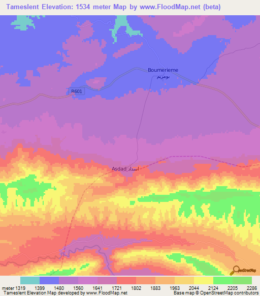 Tameslent,Morocco Elevation Map