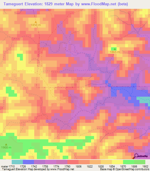 Tameguert,Morocco Elevation Map