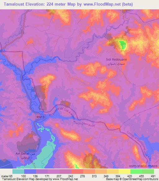 Tamaloust,Morocco Elevation Map