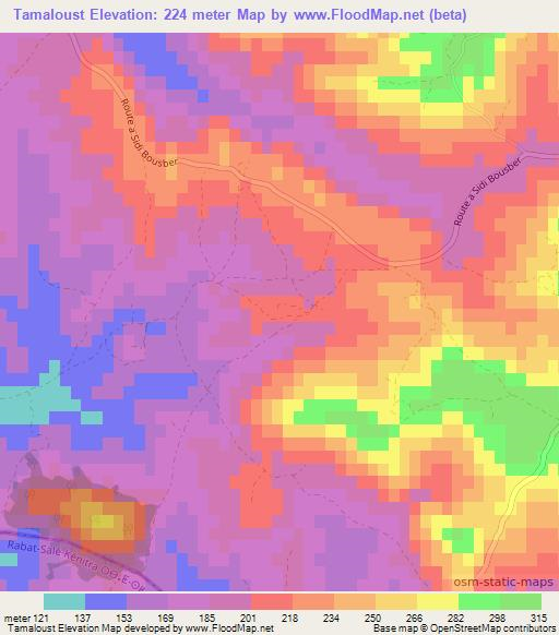 Tamaloust,Morocco Elevation Map