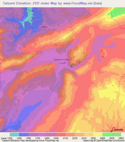 Talzemt,Morocco Elevation Map