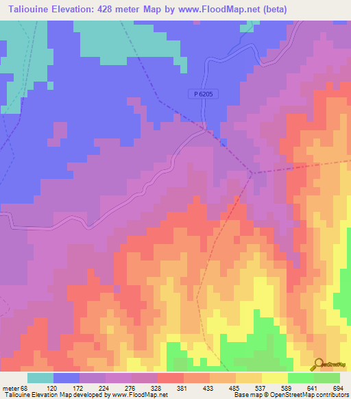 Taliouine,Morocco Elevation Map