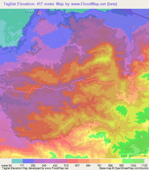 Tagliat,Morocco Elevation Map