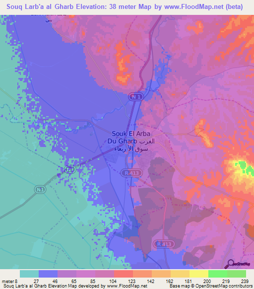 Souq Larb'a al Gharb,Morocco Elevation Map