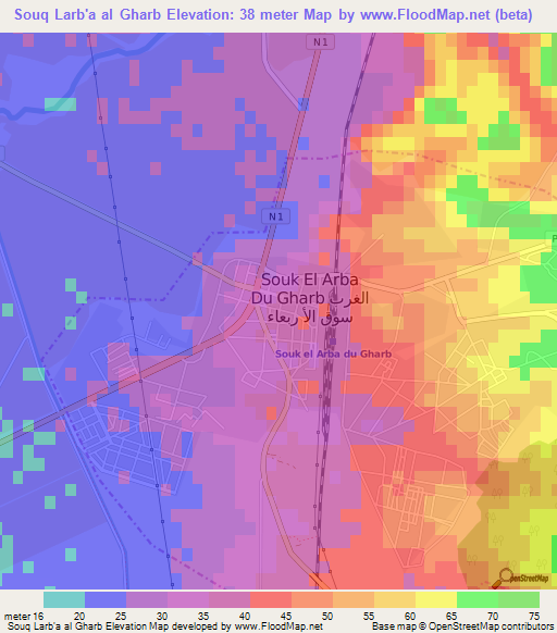 Souq Larb'a al Gharb,Morocco Elevation Map