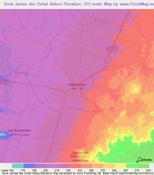 Souk Jemaa des Oulad Abbou,Morocco Elevation Map