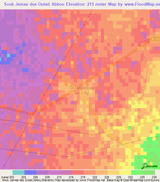 Souk Jemaa des Oulad Abbou,Morocco Elevation Map