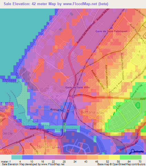 Sale,Morocco Elevation Map