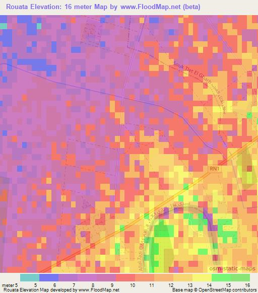 Rouata,Morocco Elevation Map