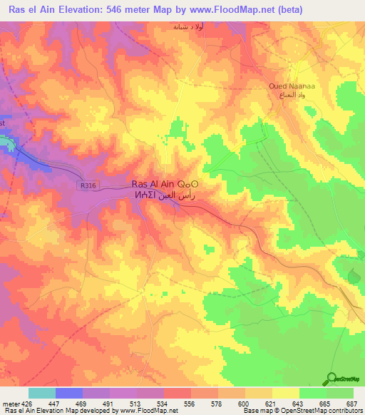 Ras el Ain,Morocco Elevation Map