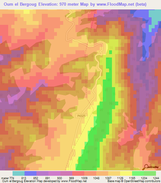 Oum el Bergoug,Morocco Elevation Map