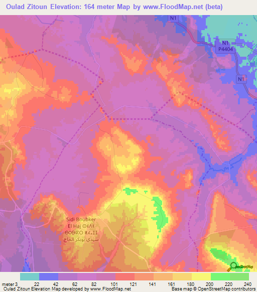 Oulad Zitoun,Morocco Elevation Map