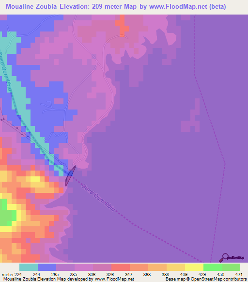 Moualine Zoubia,Morocco Elevation Map