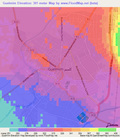 Guelmim,Morocco Elevation Map