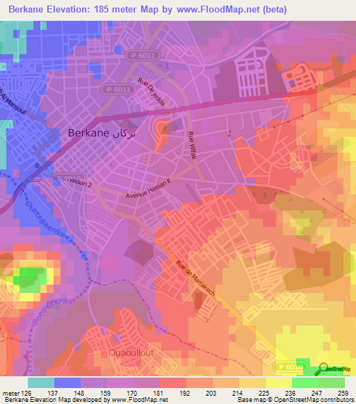 Berkane,Morocco Elevation Map