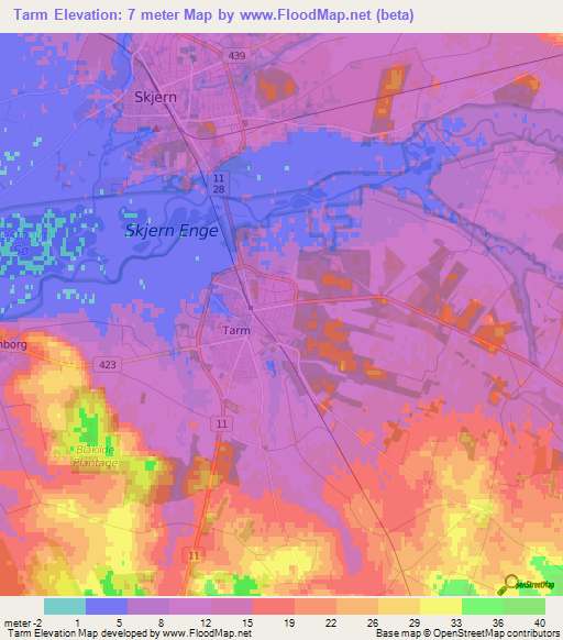 Tarm,Denmark Elevation Map