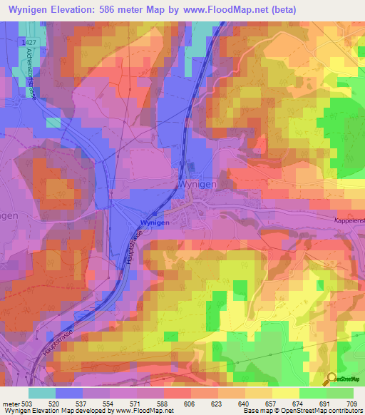 Wynigen,Switzerland Elevation Map