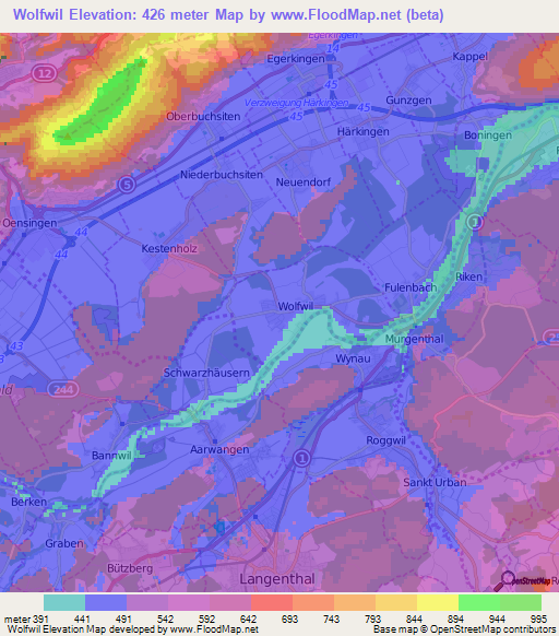 Wolfwil,Switzerland Elevation Map