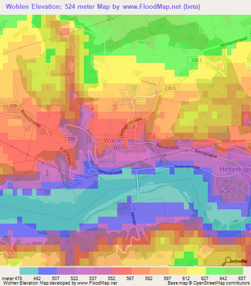 Wohlen,Switzerland Elevation Map