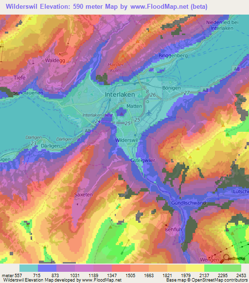 Wilderswil,Switzerland Elevation Map