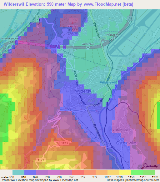 Wilderswil,Switzerland Elevation Map