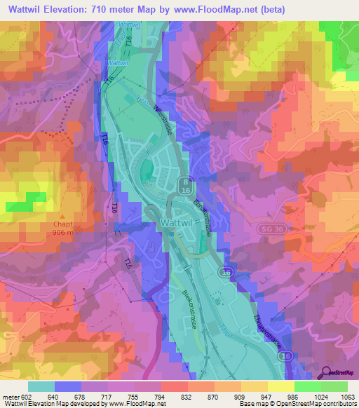 Wattwil,Switzerland Elevation Map