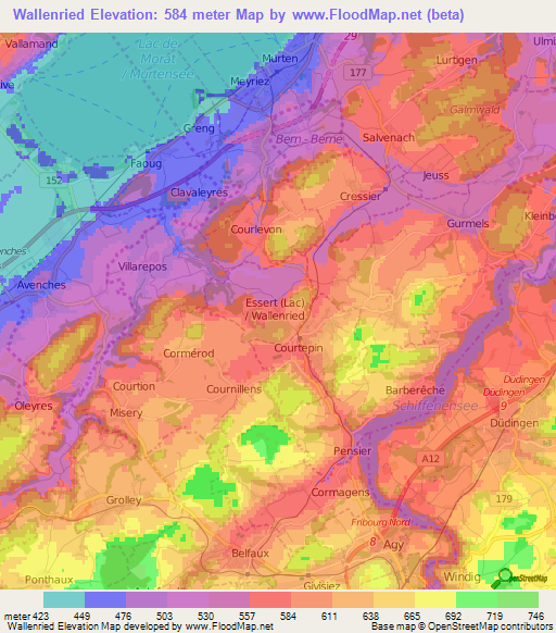 Wallenried,Switzerland Elevation Map