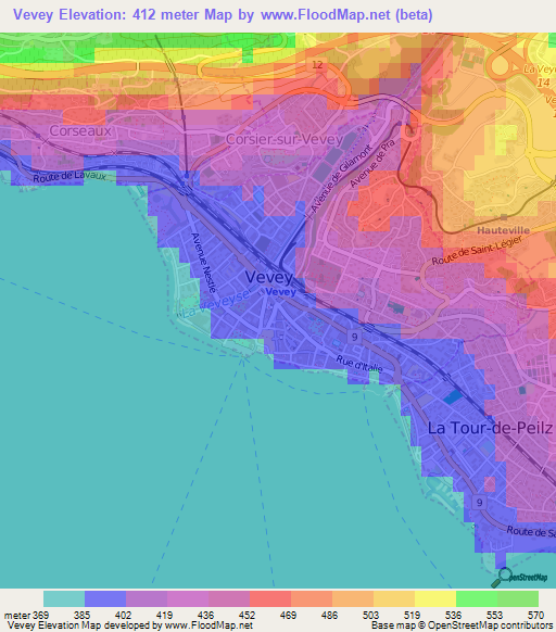 Vevey,Switzerland Elevation Map